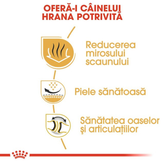 Royal Canin Bulldog Adult – Hrană Uscată pentru Câini Adulți din Rasa Bulldog – 3 kg